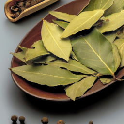 Bay leaf's Image