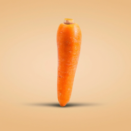 carrot's Image