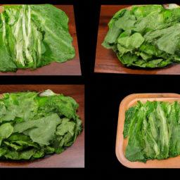 Collard Greens's Image