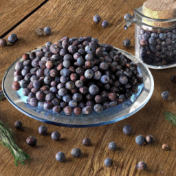 Juniper berries's Image