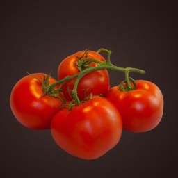 Tomato's Image